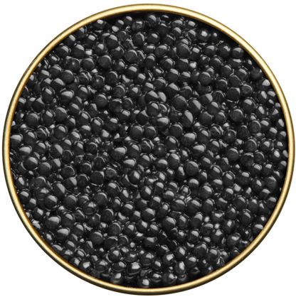 Caviale iraniano Beluga