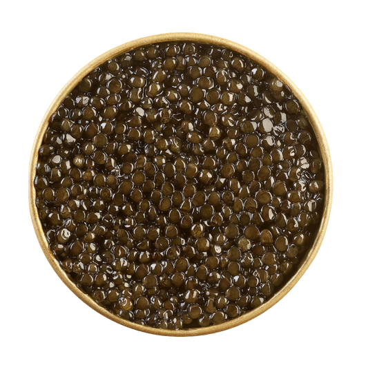 Osetra Amur River Caviar